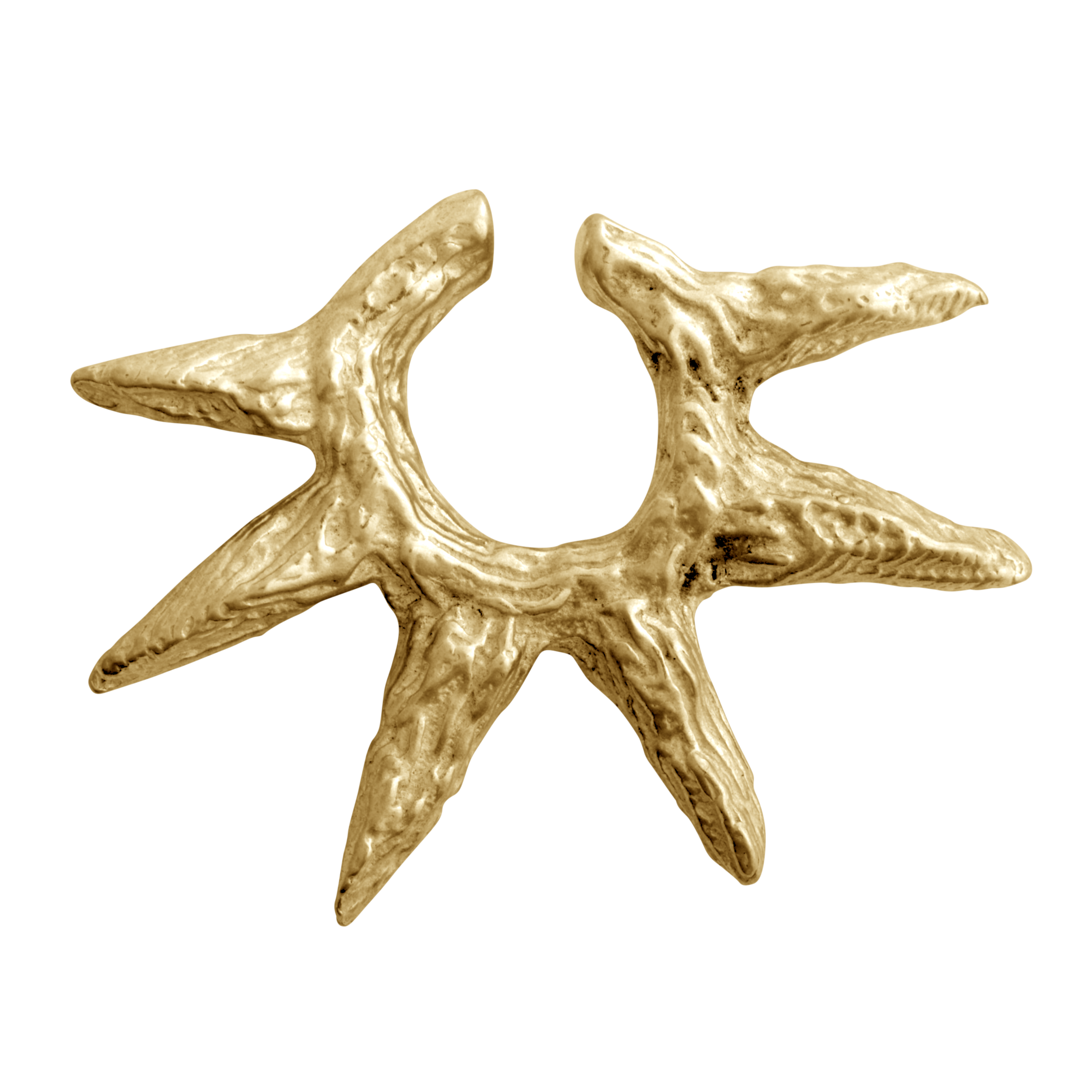 Variant