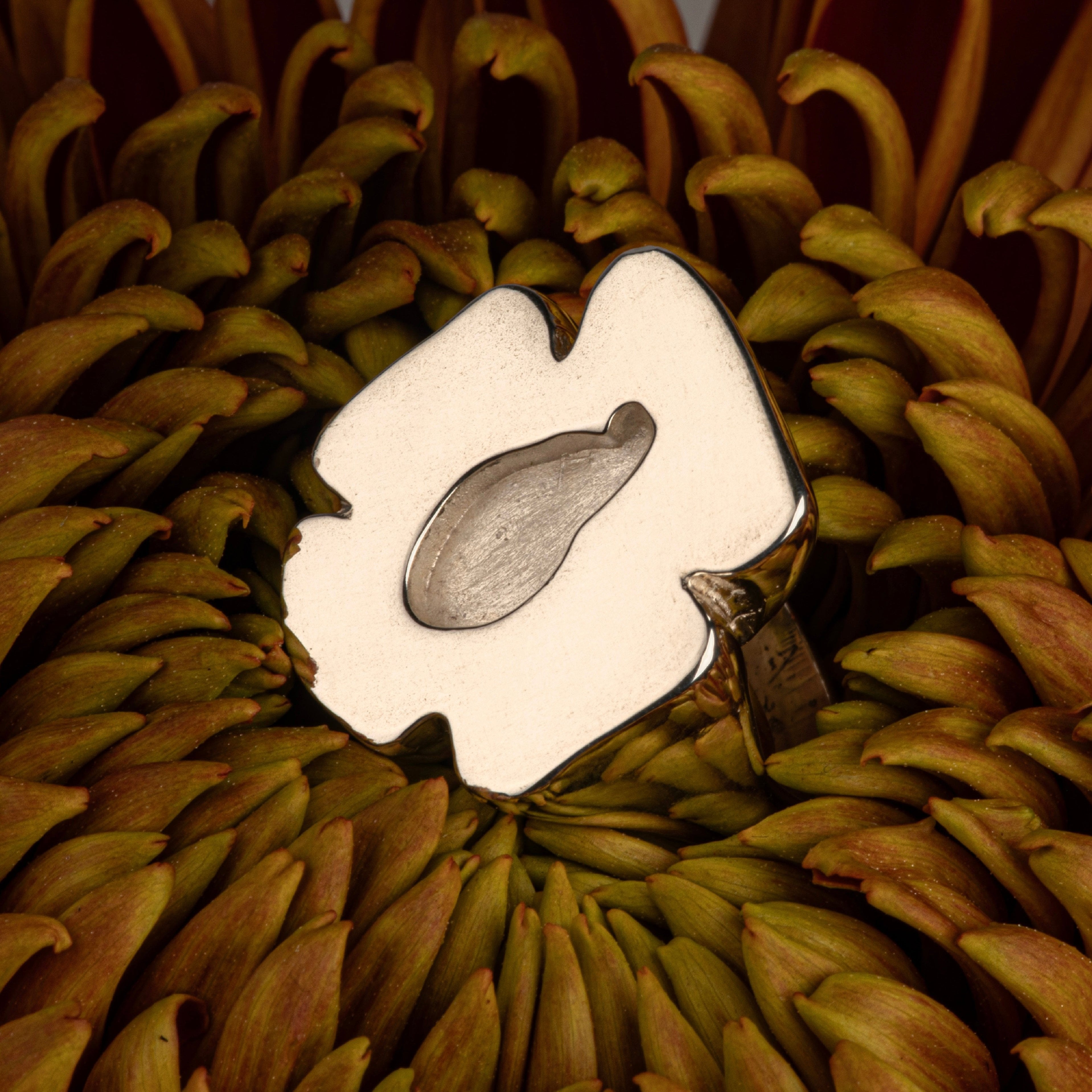 Petal No. 02